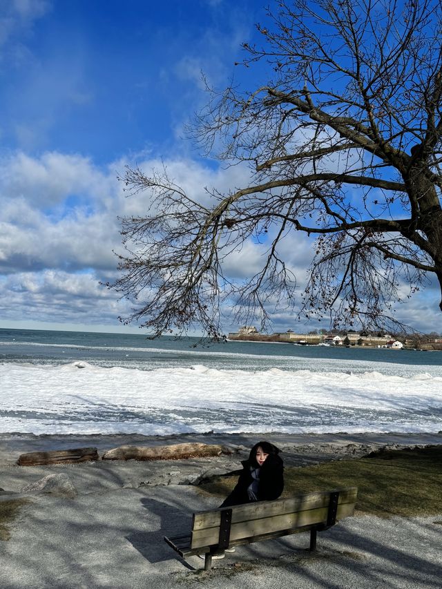 Let's visit the frozen Niagara Falls this winter!