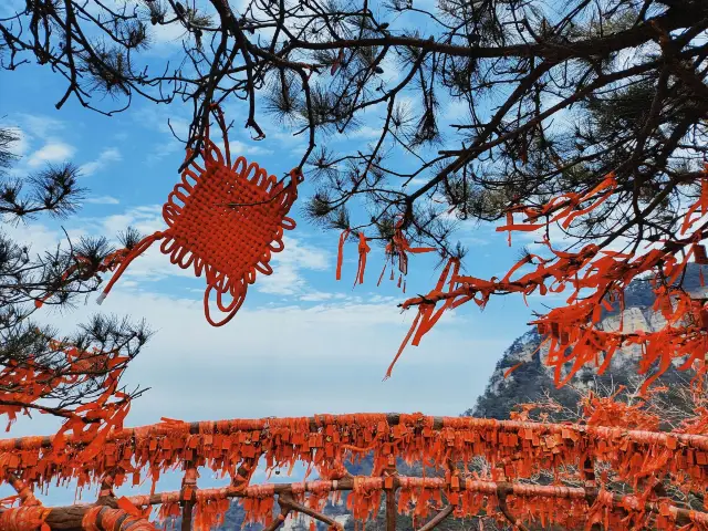 Lushan Exploration: A Leisurely Journey in a Cloud Wonderland