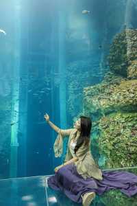 🪸阿布扎比亞斯島海洋世界｜一場沉浸式海底冒險！