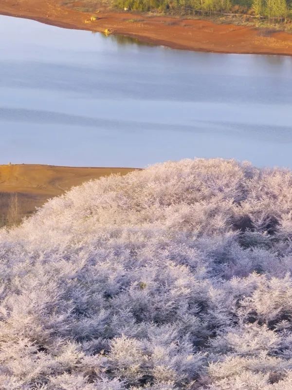 🌸貴州平壩櫻花盛開，快來體驗！