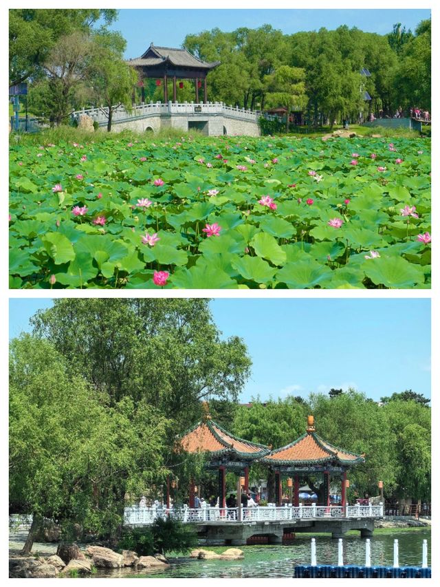 探索中國長春，感受「北國春城」的魅力