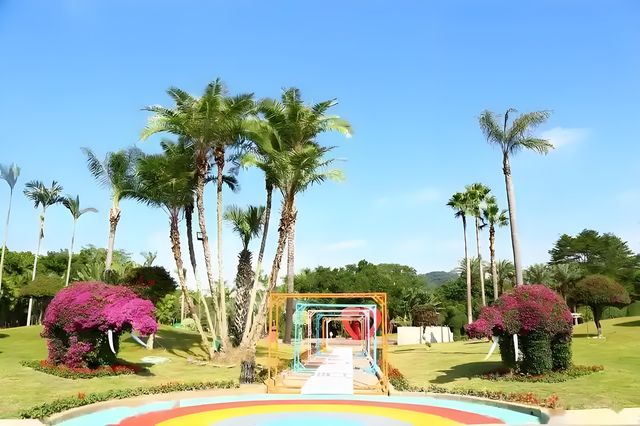 漳州花博園：花海盛宴與生態樂園的完美結合
