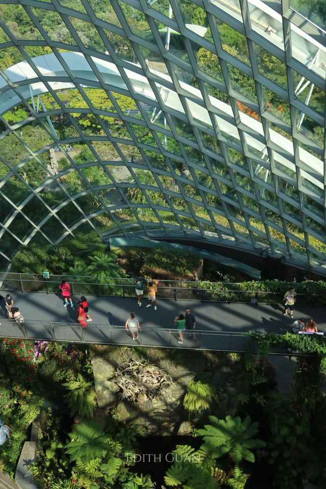 Discover the Wonders of Singapore's Gardens by the Bay