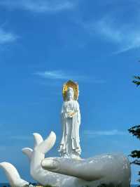 5日探索三亞森林 享受自然清新之旅
