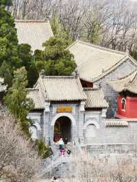 鄭州｜少林寺｜千年禪武的時光秘境