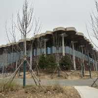 Beijing library