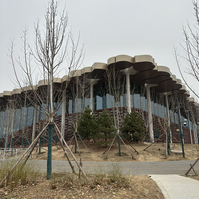 Beijing library