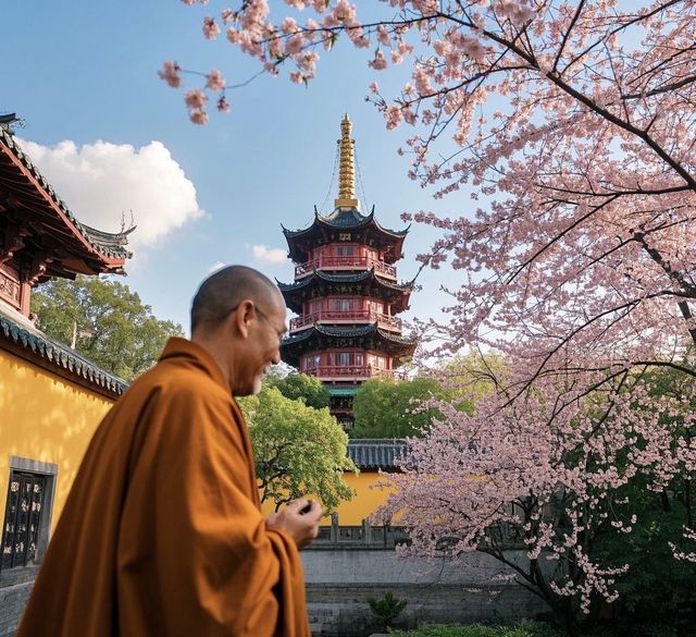 南京櫻花季最詳細攻略 南京櫻花季最詳細攻略