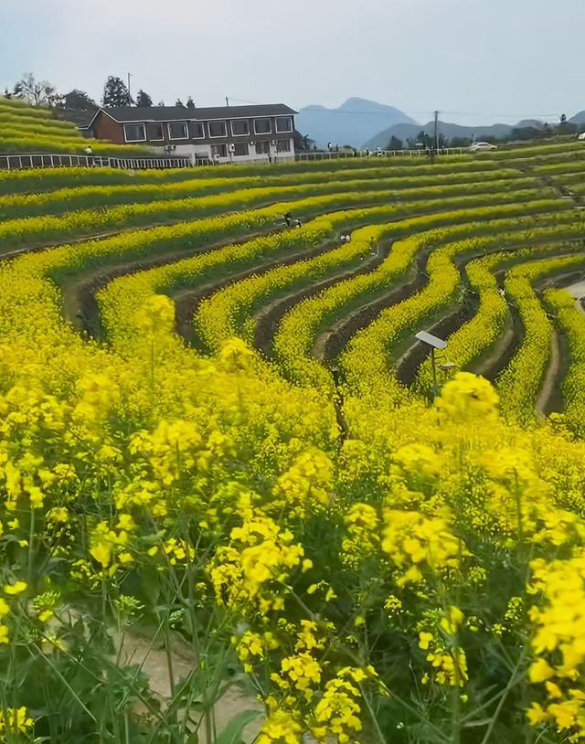 週末不知道去哪玩，不妨來這些地點看看