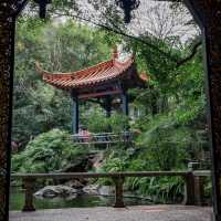 🌸廣州蘭圃 | 邂逅春日限定浪漫，偶遇慵懶喵星人