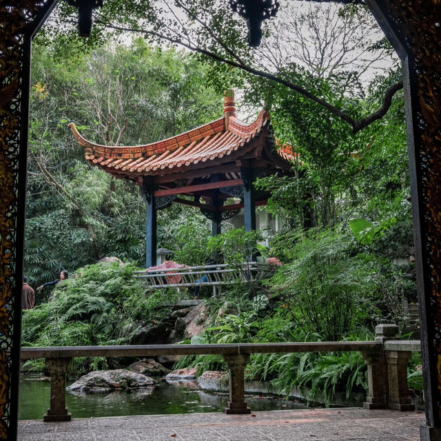 🌸廣州蘭圃 | 邂逅春日限定浪漫，偶遇慵懶喵星人