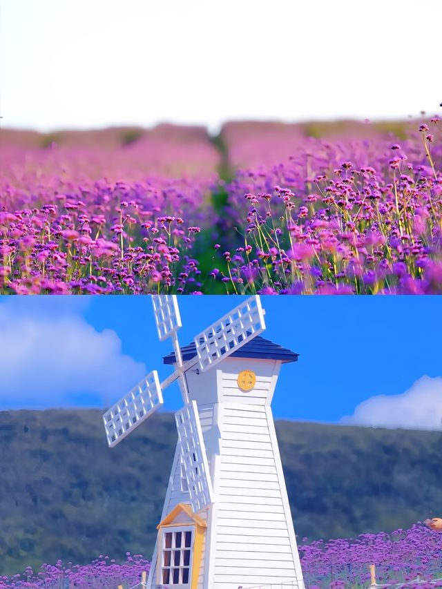 確定唔心動嗎？嚟呢度聽吓花開嘅聲音。