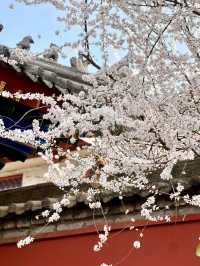西安·廣仁寺實拍（附拍照技巧）