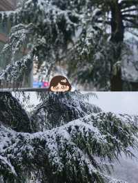 中原玩雪、冬日狂歡，解鎖家門口嘅冰雪奇緣 