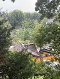 千年古剎，櫻花聖地——南京雞鳴寺全攻略 