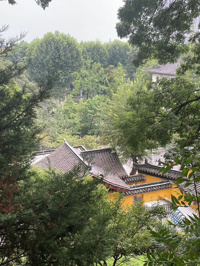 千年古剎，櫻花聖地——南京雞鳴寺全攻略 