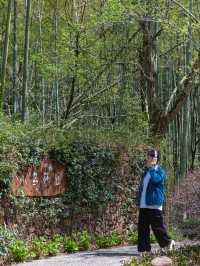 我喺溧陽搵到咗現實版嘅綠野仙蹤！攻略喺下面喇