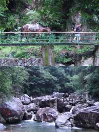 杭州旅遊｜天目山嘅深邃寧靜真係好寫意。