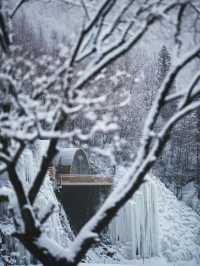 長白秘境雪廬民宿等您來玩～