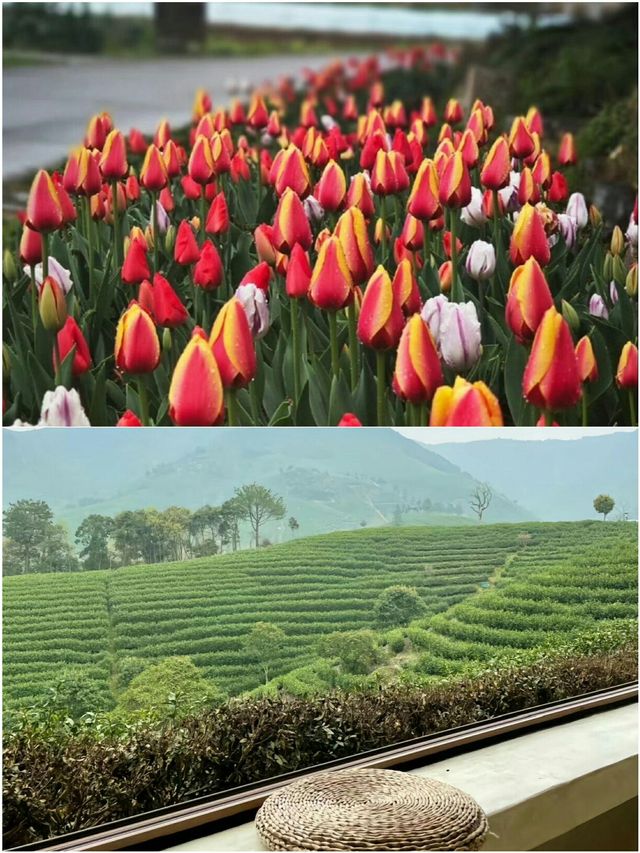 江浙滬2小時達 | 5個躺平休閒地週末說走就走