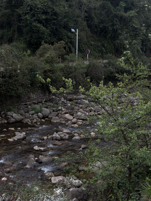 成都青城山！！花得最值嘅一筆錢！！！唔捨得退房….