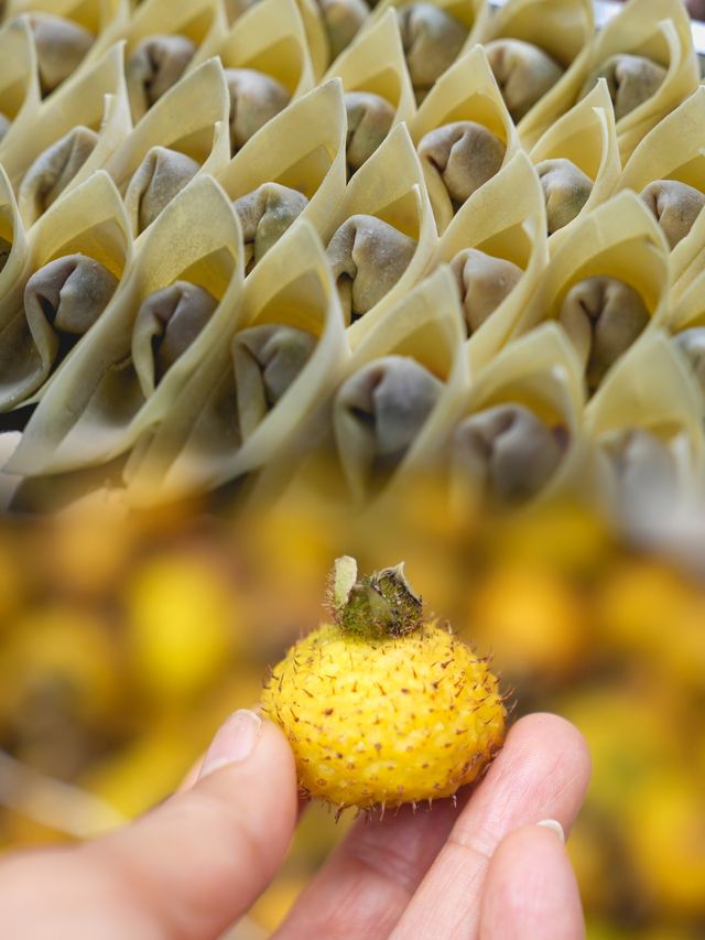 貴州凱里一商場，奔赴那一場煙火氣