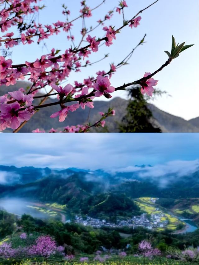 歙縣已回，真是春天裡的天花板。