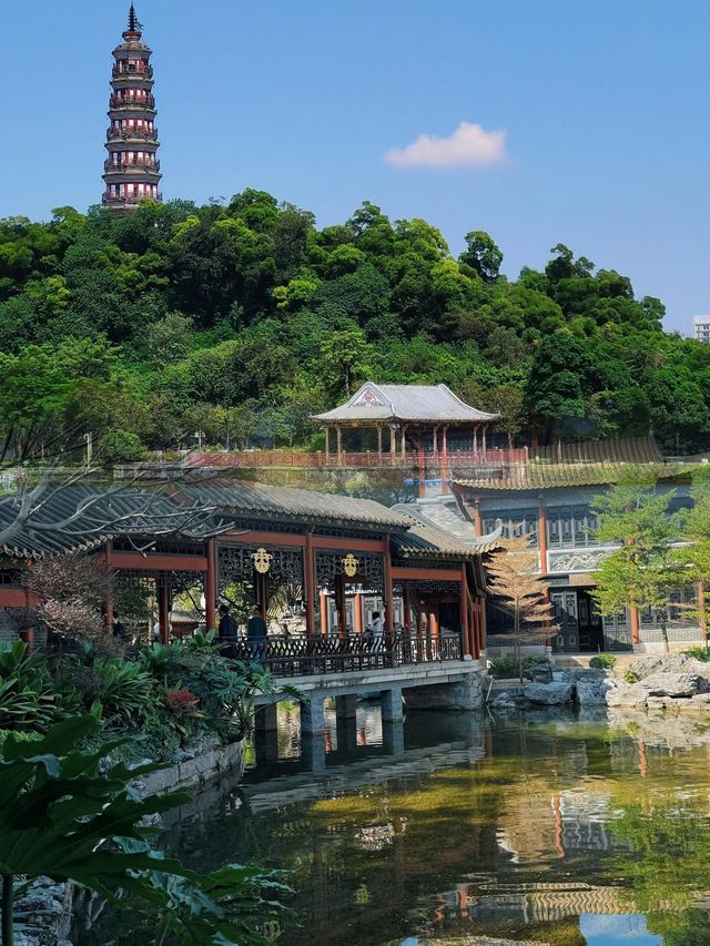 探秘佛山順峰山公園竟藏着不為人知的驚喜