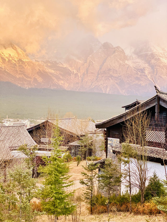 麗江 玉龍雪山 入住金茂璞修雪山酒店