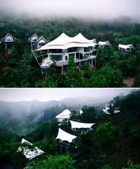 在安吉！！入住坐擁整片茶山的雲端帳篷酒店