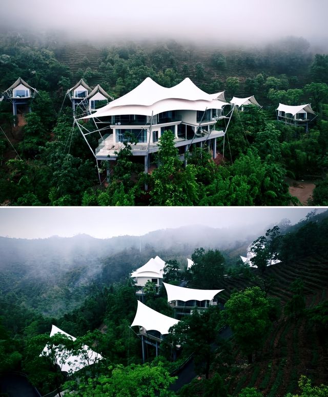 在安吉！！入住坐擁整片茶山的雲端帳篷酒店