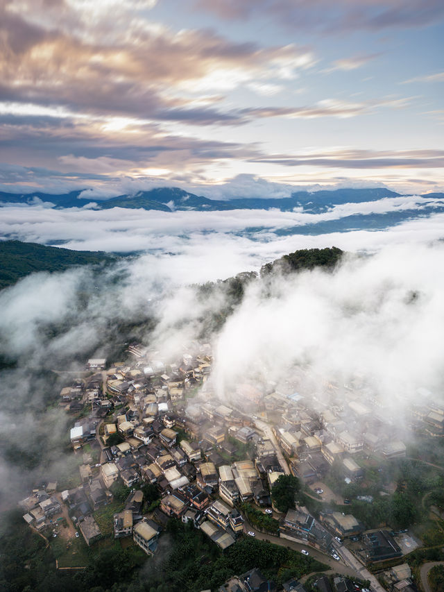 雲南普洱景邁山原來電影拍攝場地都在這！