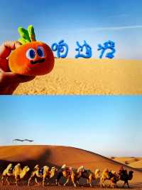 五一沙漠出片王！響沙灣一日遊