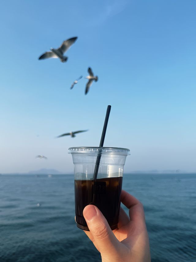 大連一天時間打卡主要景點，劃重點