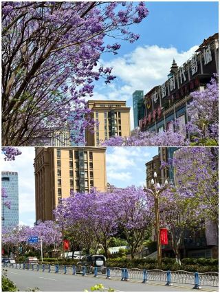 How to Enjoy Panzhihua in April: This Guide is All You Need