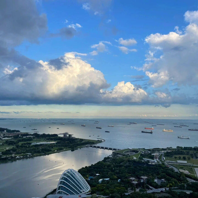 🇸🇬新加坡必住酒店，冇之一！！！真係巨好住😍