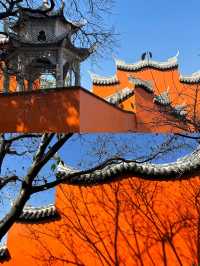 五一西昌親子遊