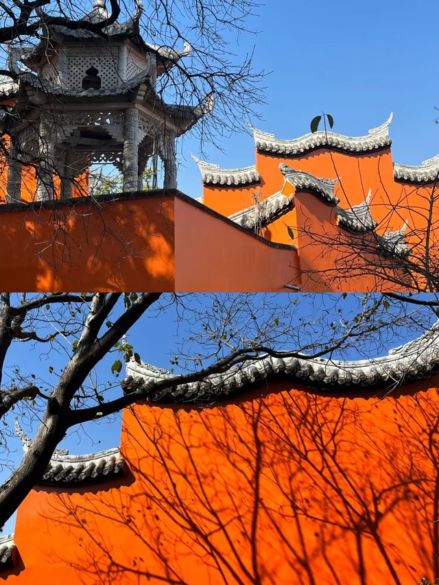 五一西昌親子遊