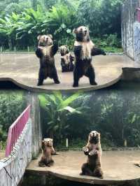 《貴州野生動物園:呢度嘅動物比你嘅前度仲難氹!》