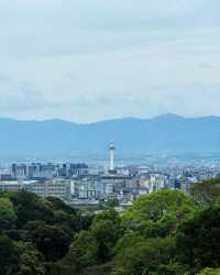京都＆宇治雙城記，世界文化遺產之旅