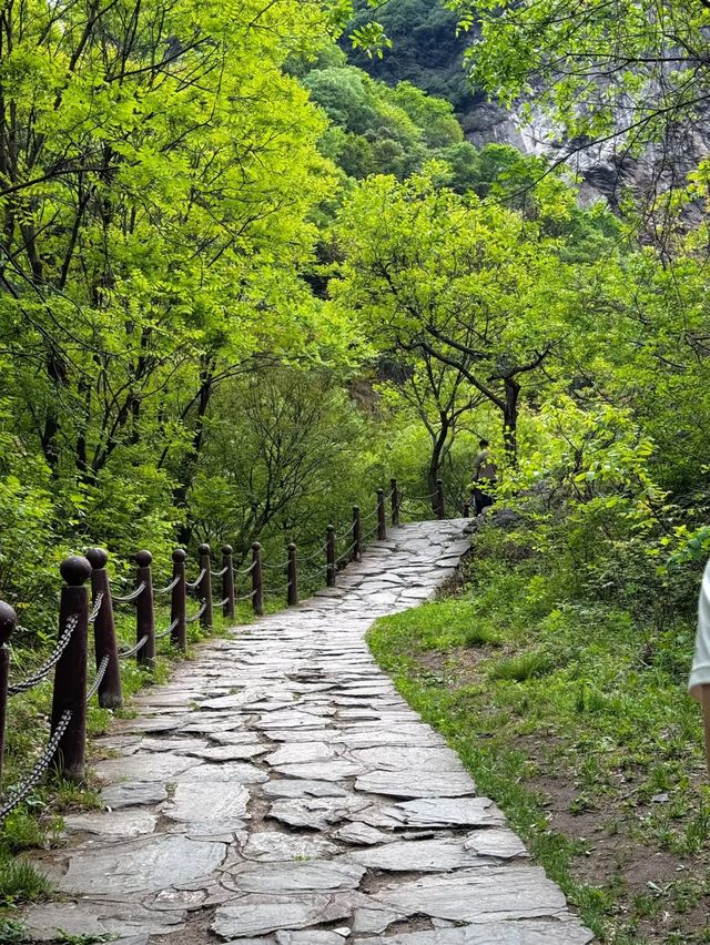 西安周邊1.5H逃離城市去溪谷山林吸氧徒步