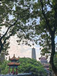 二天一夜暴走福州賞榕樹❗️