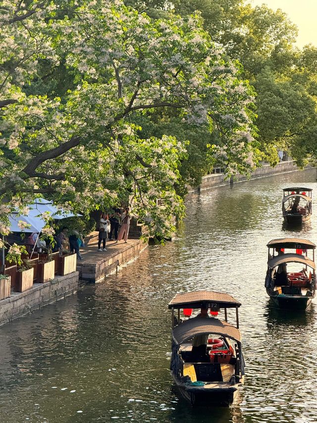 超詳細的蘇杭景區攻略