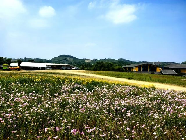 養眼養肺養心~~天目湖涵田度假村養心谷
