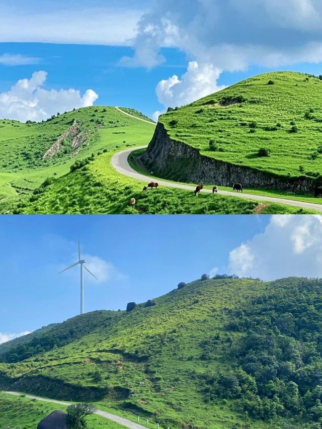 唔使去新疆！喺廣東！！3個鐘睇雲海！