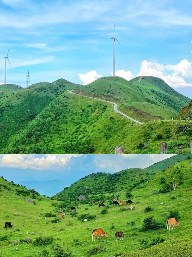 唔使去新疆！喺廣東！！3個鐘睇雲海！