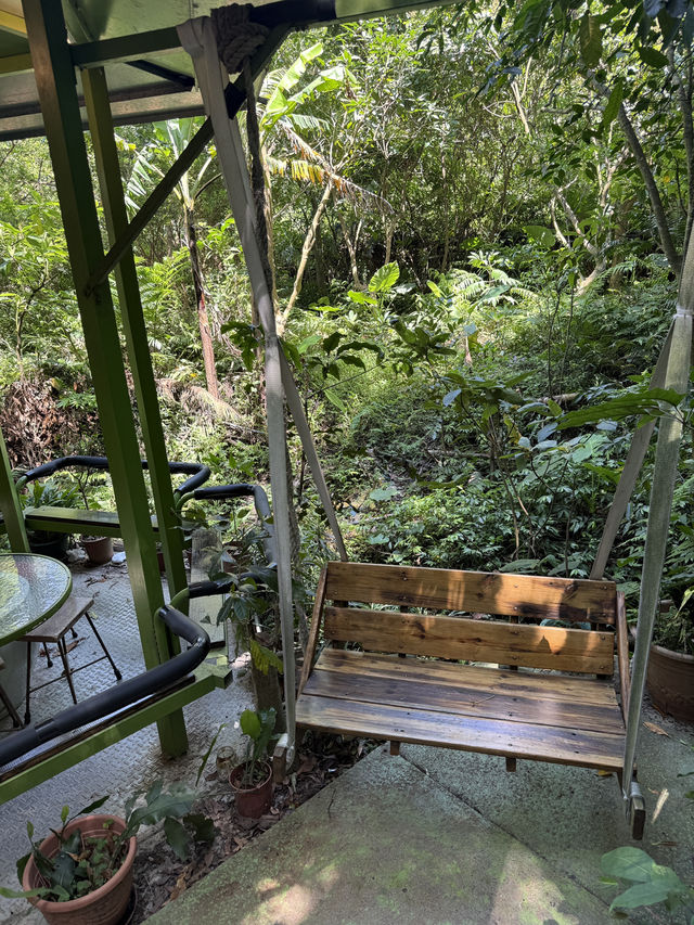 The Cutest Mountain Top Coffee Spot, Hidden In The Trees! A Caffeine Oasis ❤️ ☕️ 🌲 
