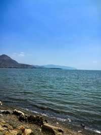 去洱海觀賞不一樣的風景