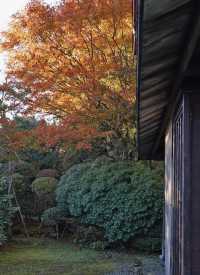 箱根｜三河屋，擁有140年歷史的溫泉旅館