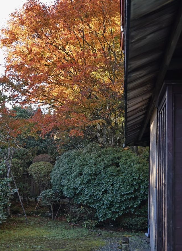 箱根｜三河屋，擁有140年歷史的溫泉旅館